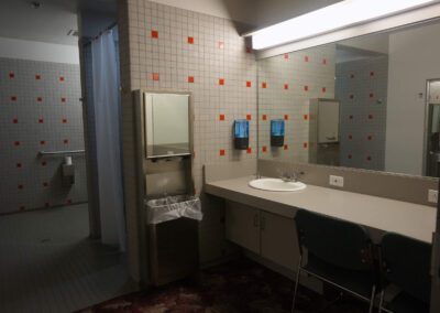 Dressing Room bathroom with mirror and sink counter and shower stall